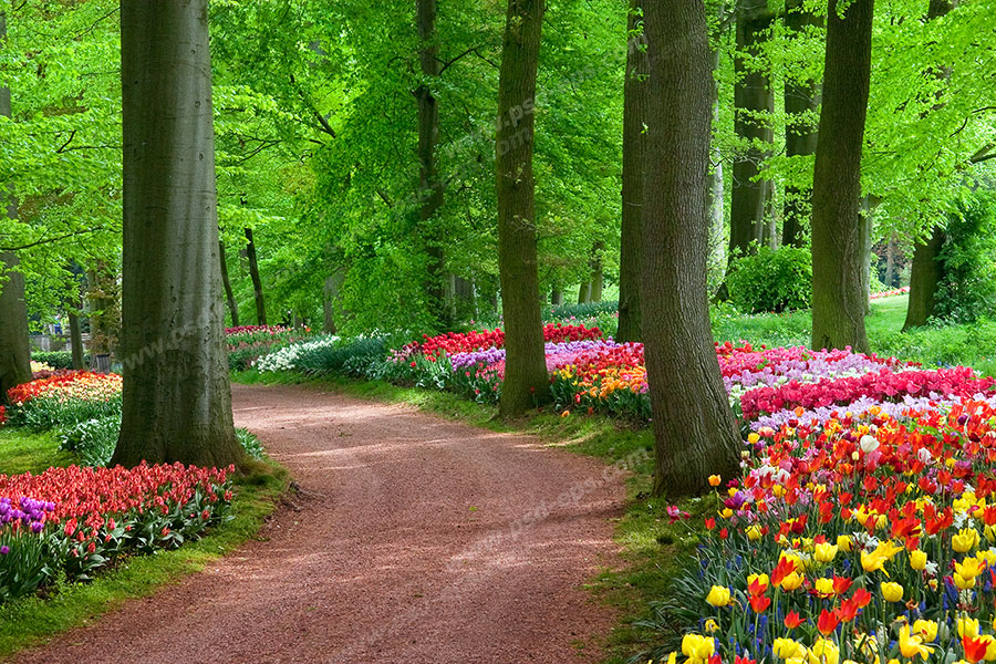 شیمی یازدهم ریاضی-فیزیک